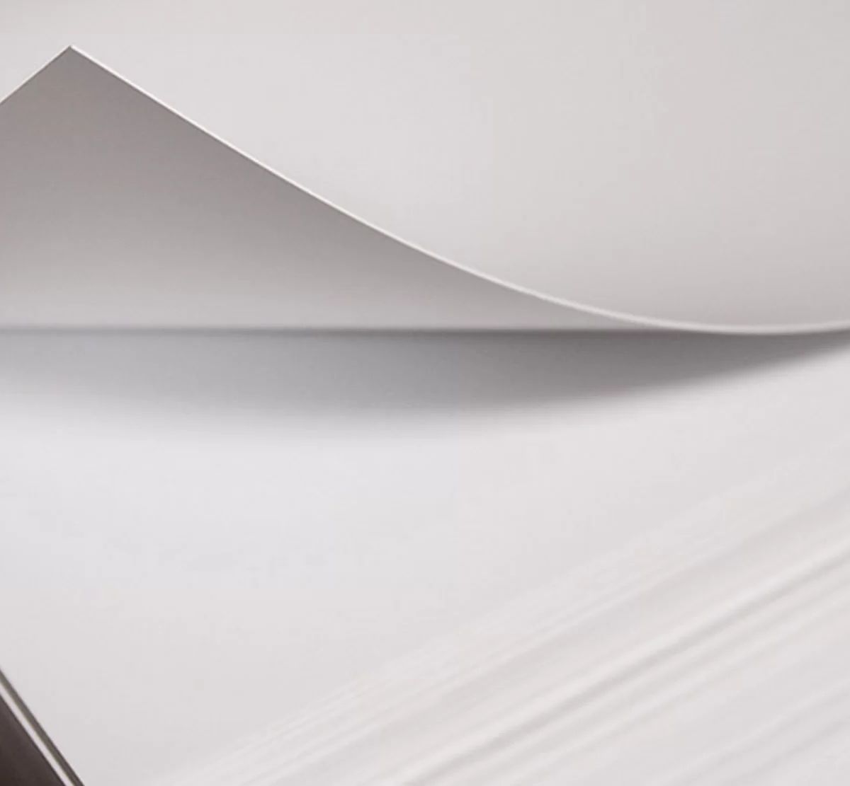 POLYSTYRENE .5MM WHITE 8' X 4' product photo