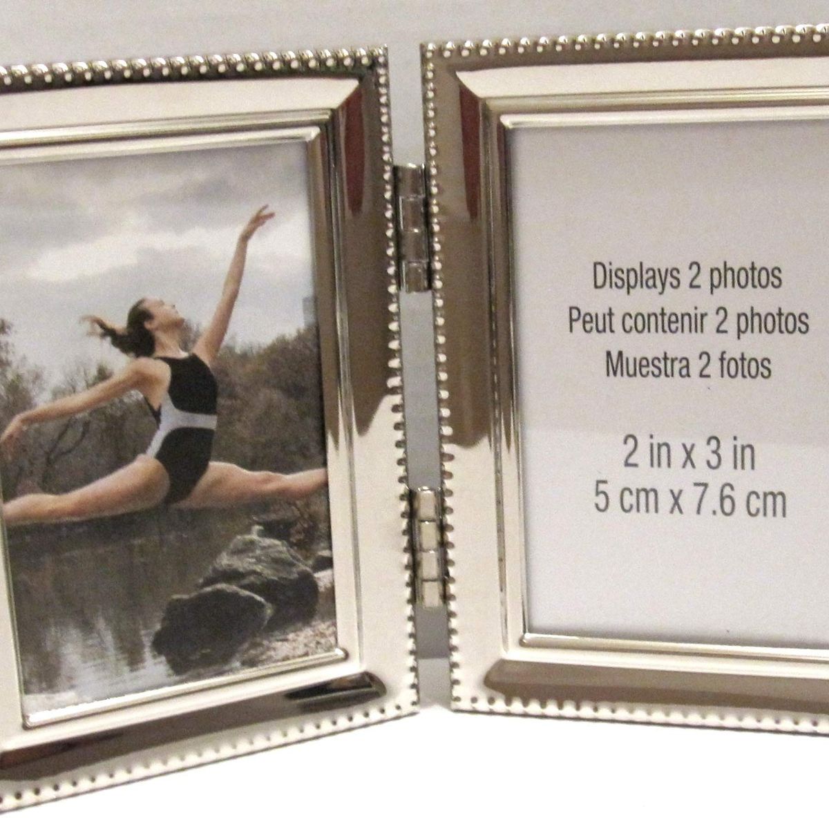 R663 BRUSHED SILVER, 2 1/2" product photo