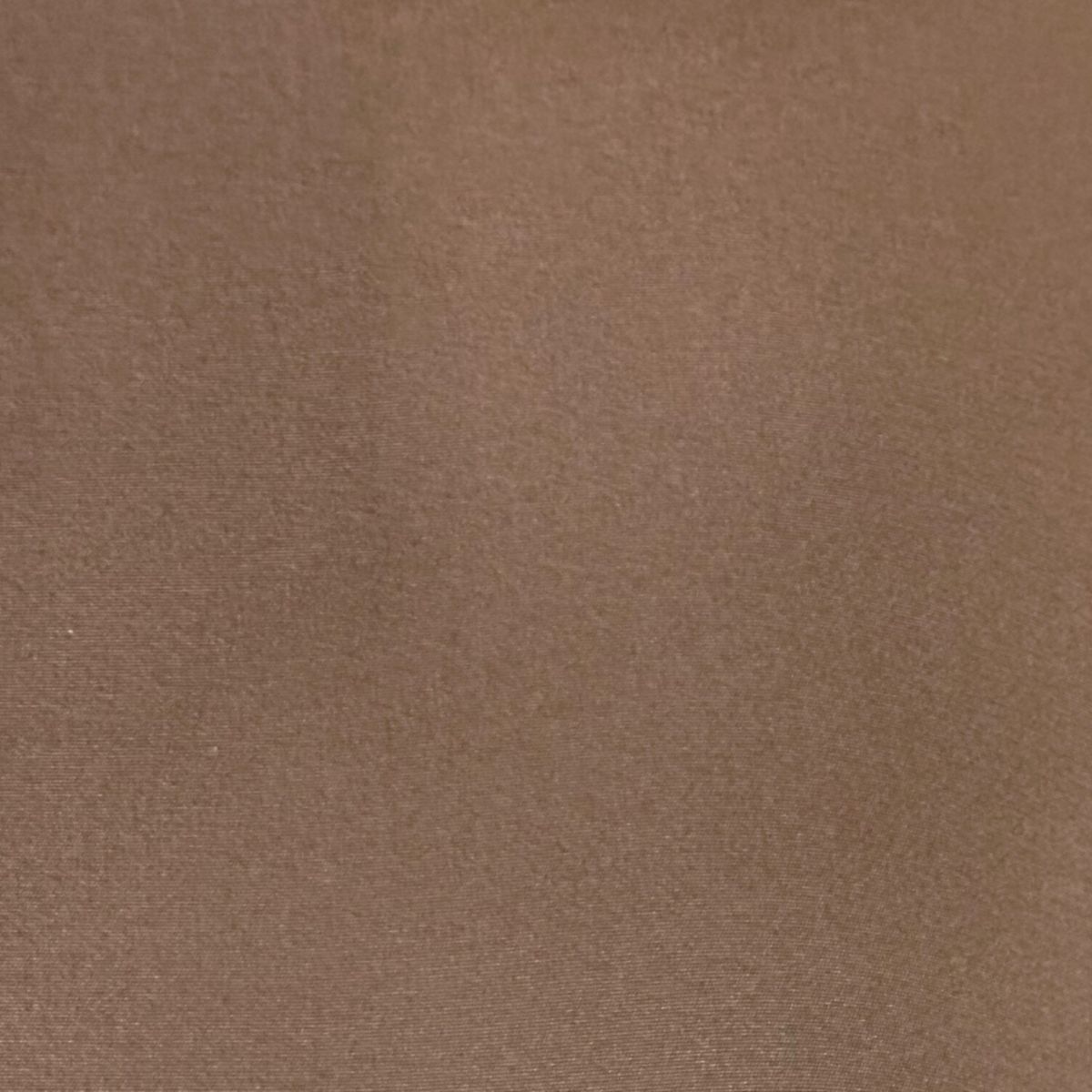 #4621 TRUE BROWN SUNBRELLA product photo